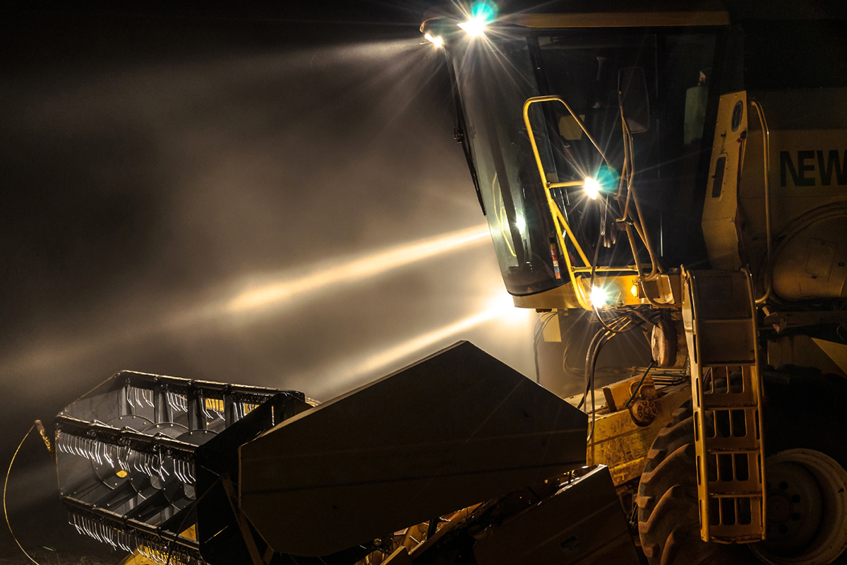 Picture for category SCENE LAMPS